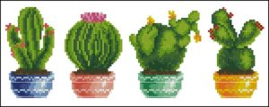 Cactus Pot