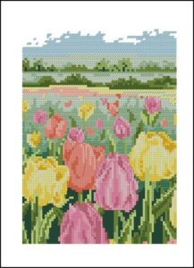 Tulip Garden