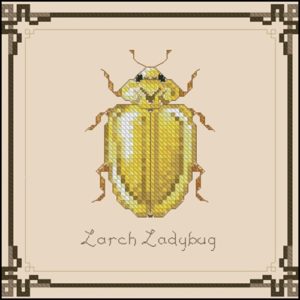 The Larch Ladybug