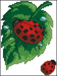 72529 LADYBUG