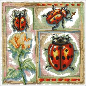 EPX 3638 Ladybird