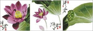 Flower-148 Qing Jun