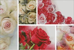 Розы для любимых - 5