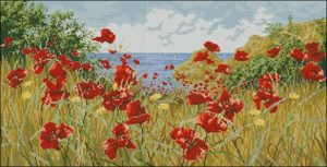 Clifftop poppies