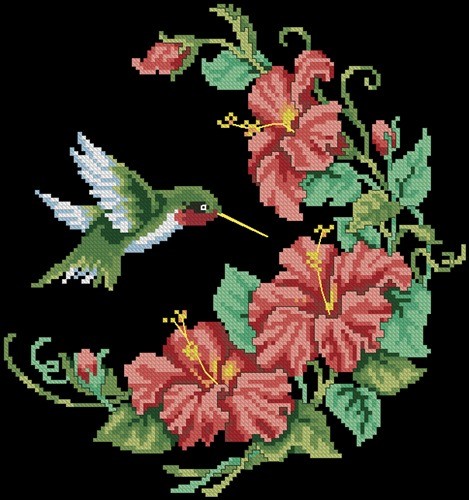 Hummingbird & Hibiscus