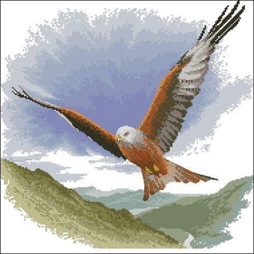 Red Kite in Flight