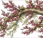 Малиновая цветущая сакура