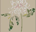 DMC - Chrysanthemum
