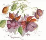 Fuchsia in Watercolour