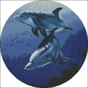 Дельфины в голубом круге