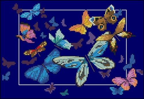 Exotic Butterflies