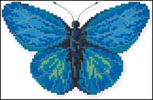 A Butterfly Aldania Raddei