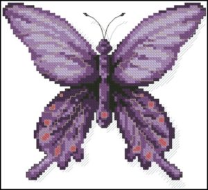 A Butterfly Chitoria Ulupi