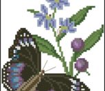 Blue-banded Eggfly butterfly