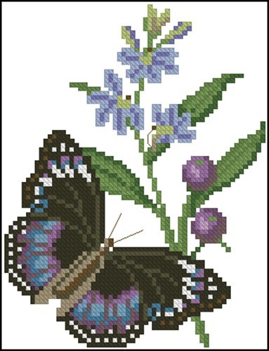 Blue-banded Eggfly butterfly