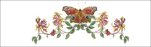 Butterfly and Honeysuckle