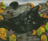 Черный кот приносящий удачу