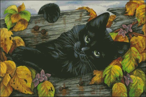 Черный кот на фоне луны - схема вышивки крестом скачать бесплатно