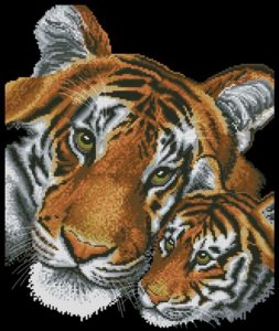 Tiger and Cub