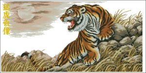 Tiger at Dusk