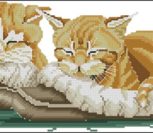 Сонные кошки