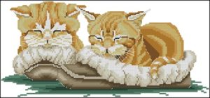 Сонные кошки