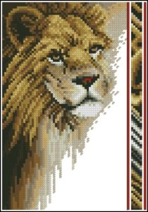 Wildlife Series - Lion