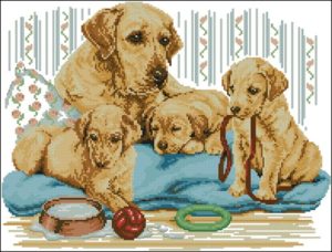 Golden Labrador Family