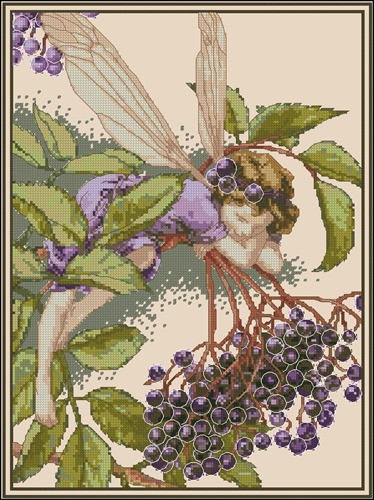 The Elderberry Fairy