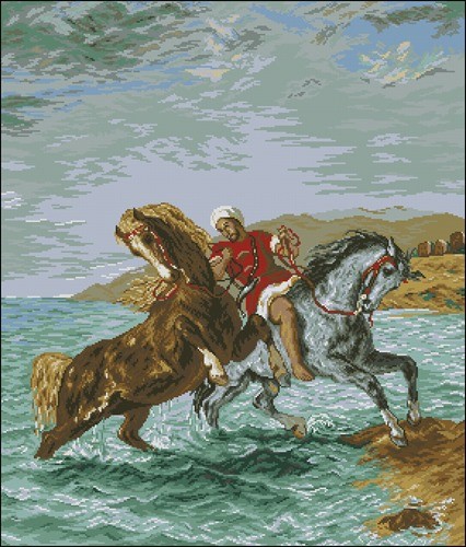 Marocanul scotand caii din mare