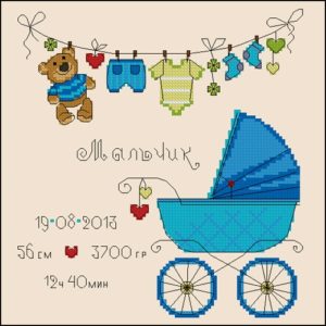 Метрика для новорожденных с голубой коляской
