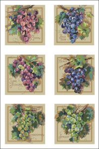 Гроздь винограда: 6 сортов