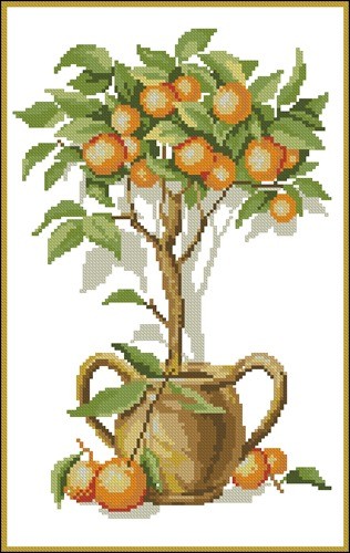 Красивое апельсиновое дерево