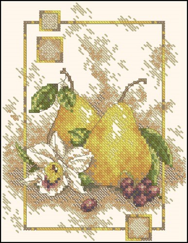 Pears with Orchid