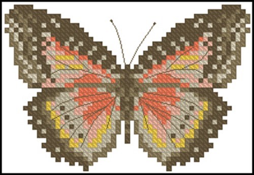 Motyl Brazowy