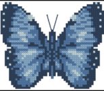 Motyl Niebieski