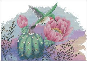 Колибри и цветок кактуса