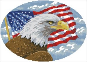 Freedom eagle