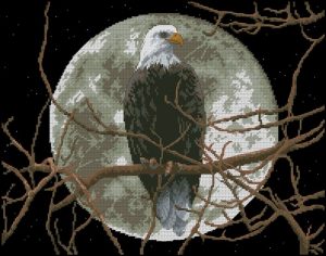 Eagle in Moonlight