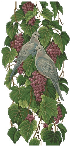 Vineyard Doves