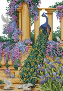 Peacock Elegance
