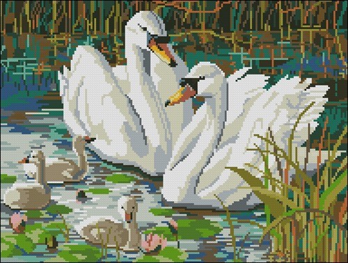 Swan Scene