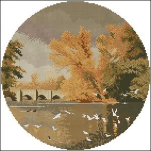 Autumn Reflections