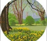 Daffodil Wood