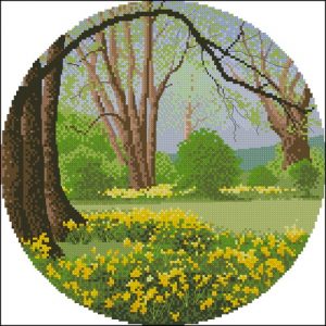 Daffodil Wood