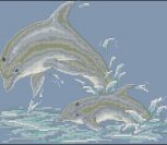 Graceful dolphins