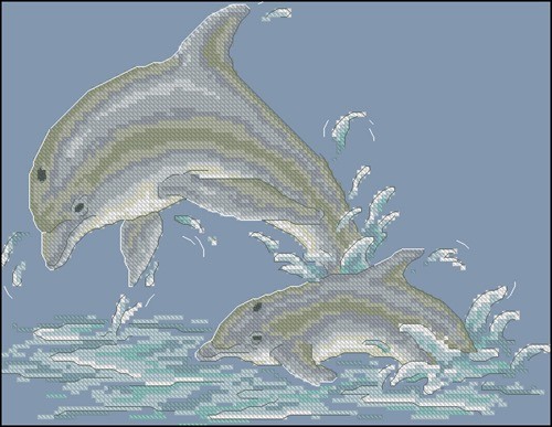 Graceful dolphins