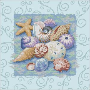 Shells on Blue