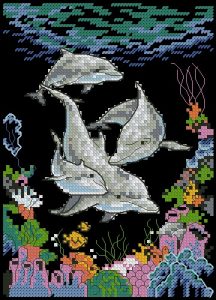 Dolphin playtime