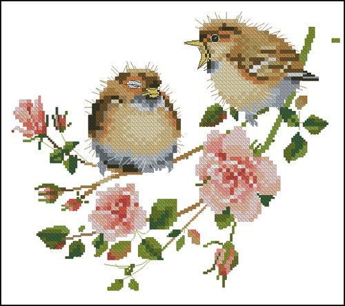 Rose Chick-Chat